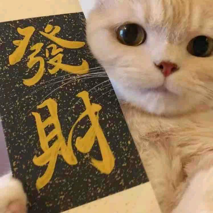 迟来