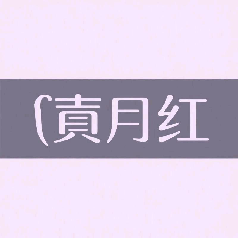 贰月红服饰