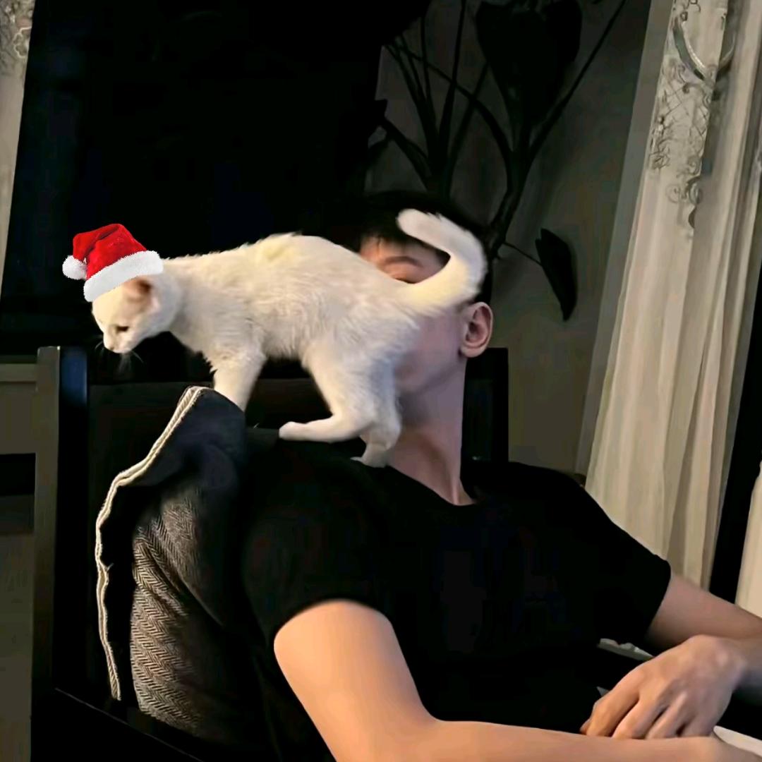 𝓔𝓵𝓸𝔀𝓮𝓷