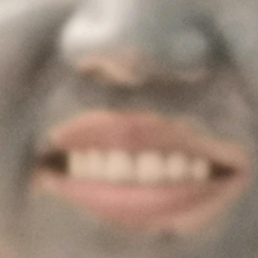 鑫鑫向荣