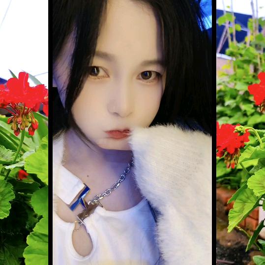 ℳঞᩚ进.进꧔ꦿ᭄~❤