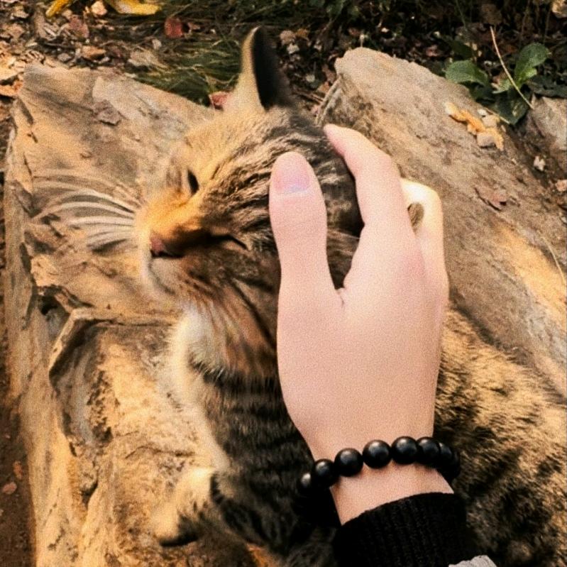 !!又贝