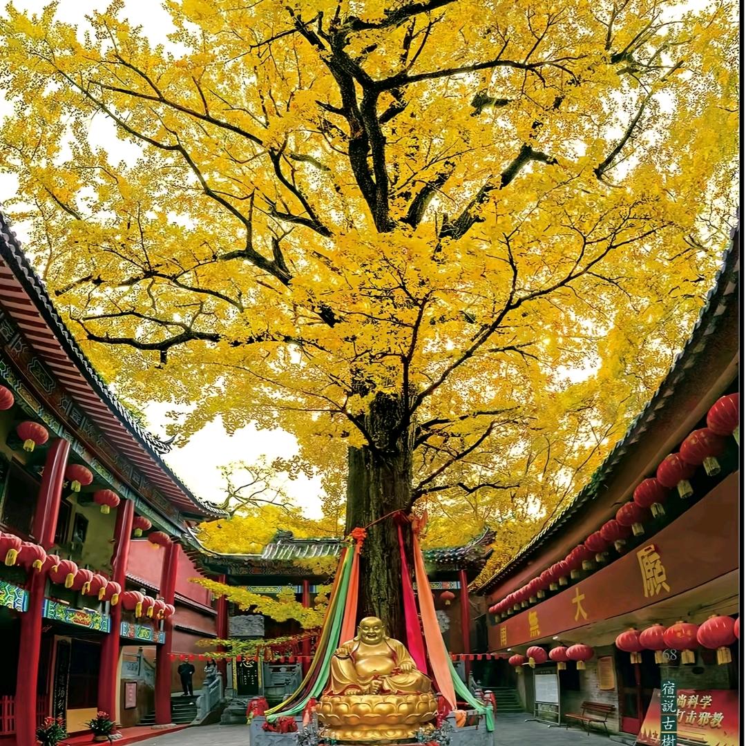 长皱纹的小姑娘