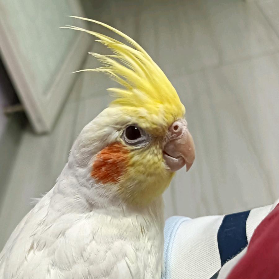 幸福健康