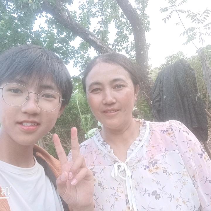 蝶樱