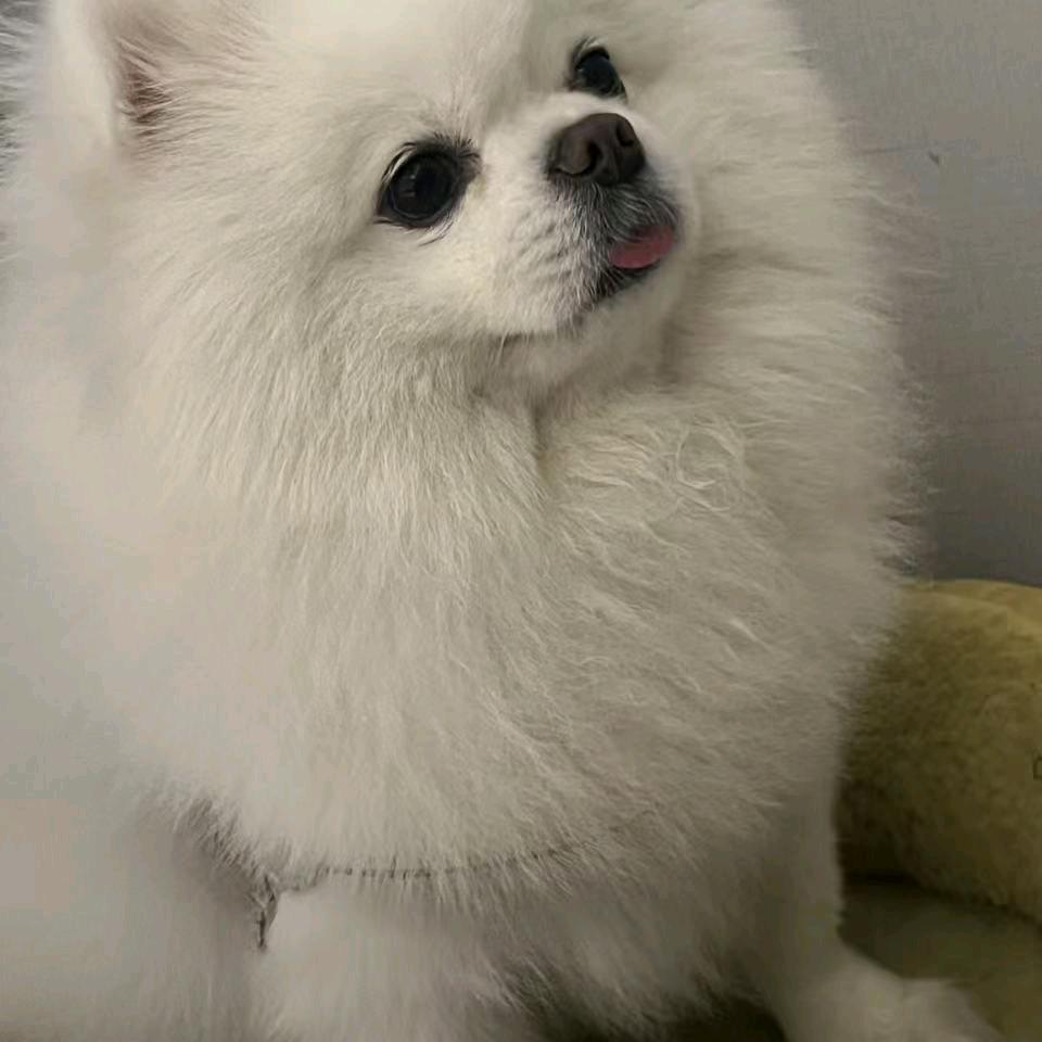 努力做回之前那个快乐的自己，加油，