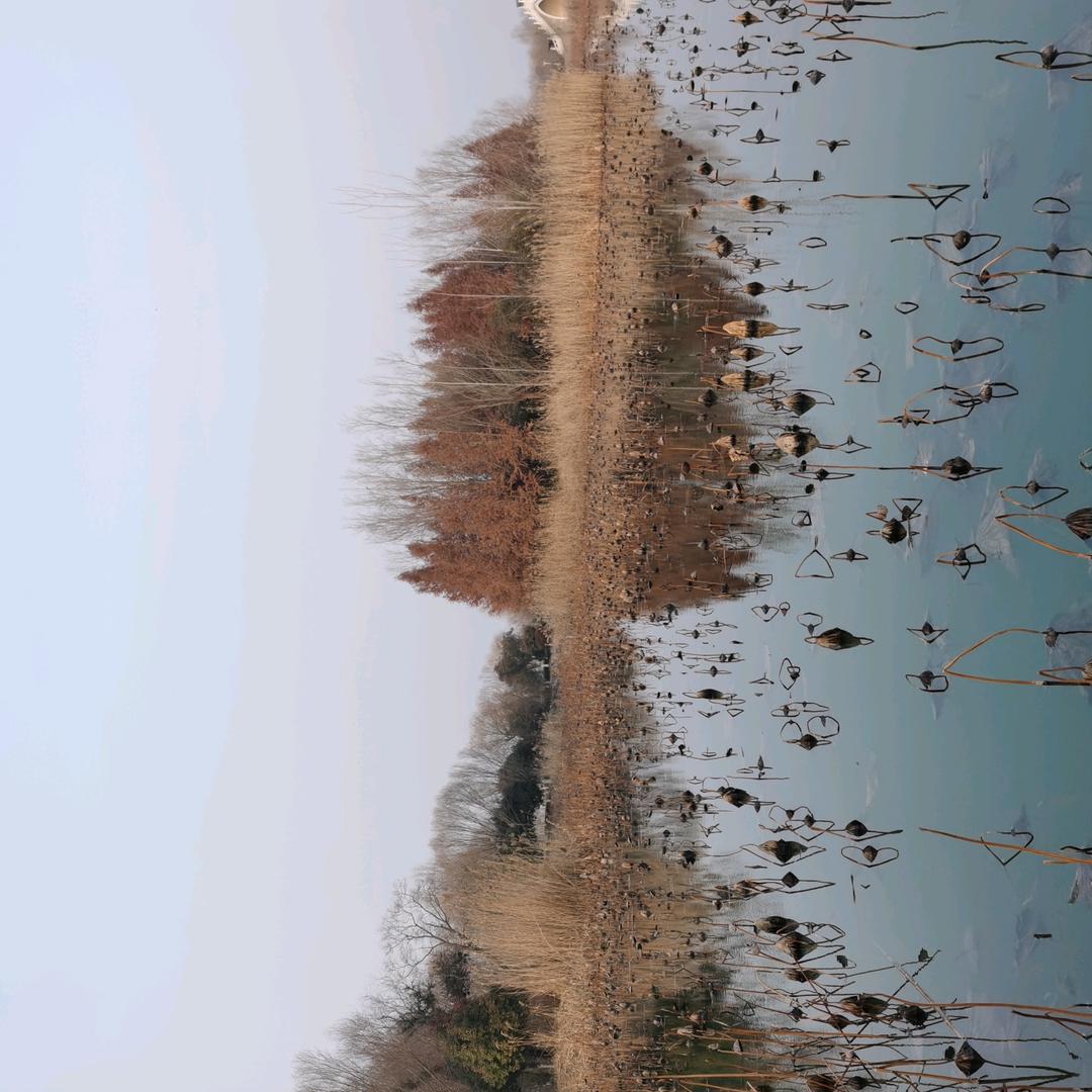 喜欢馨沂