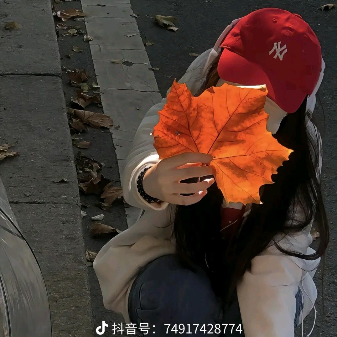 凌晨一点的小猫