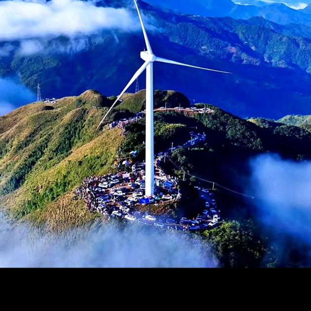 伤透《寂寞的鱼》