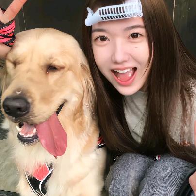 蚊子都去吃油漆