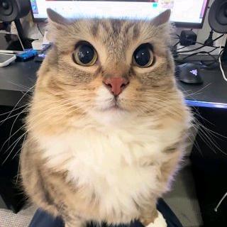 抖音时楠🤓