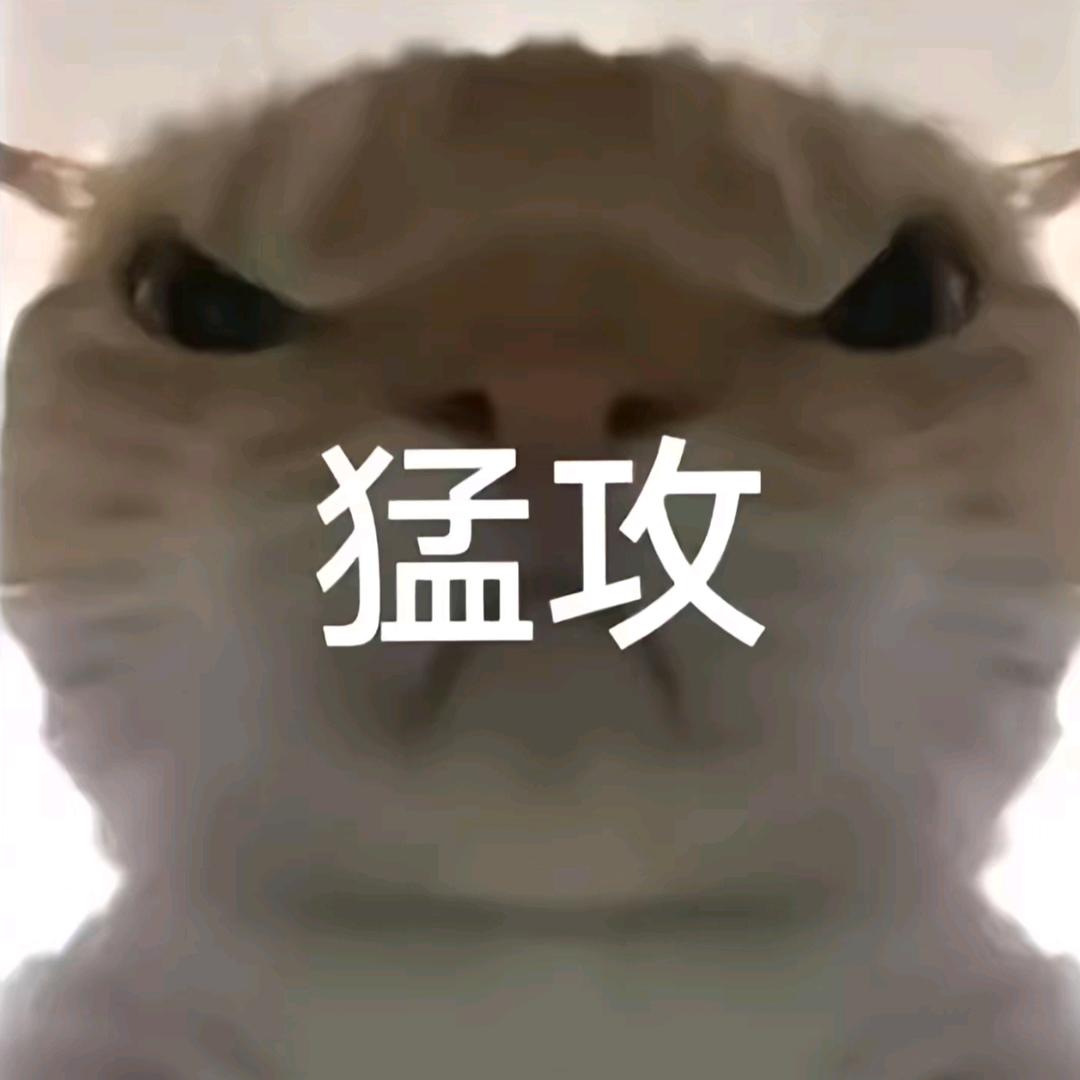 耳鼠•