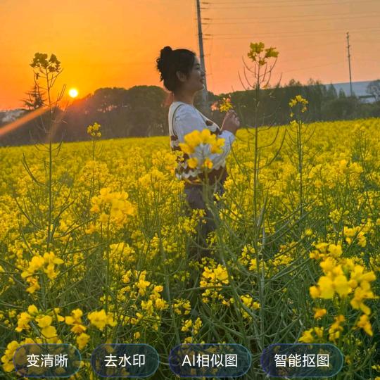 温柔的阳光