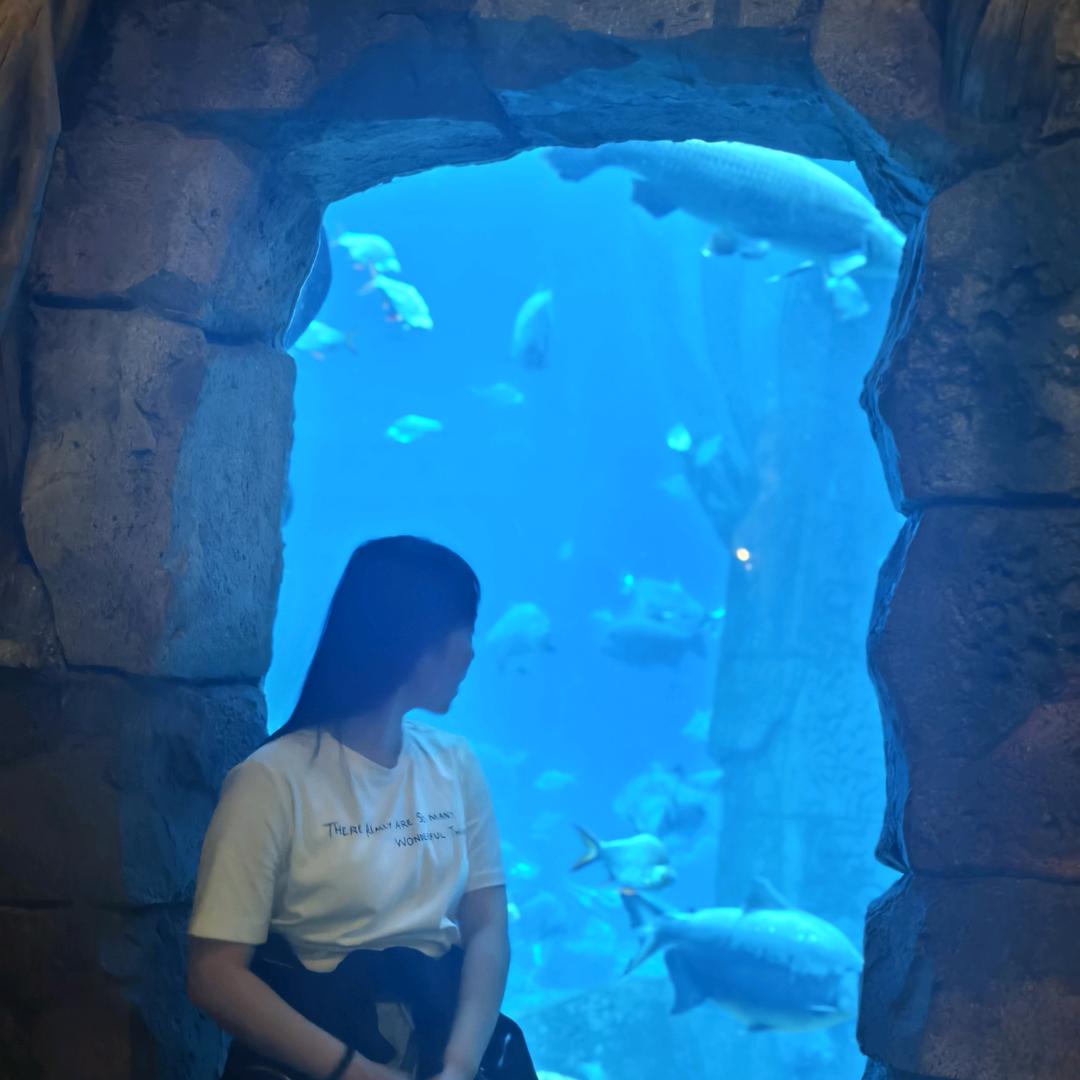 奶盐小兔