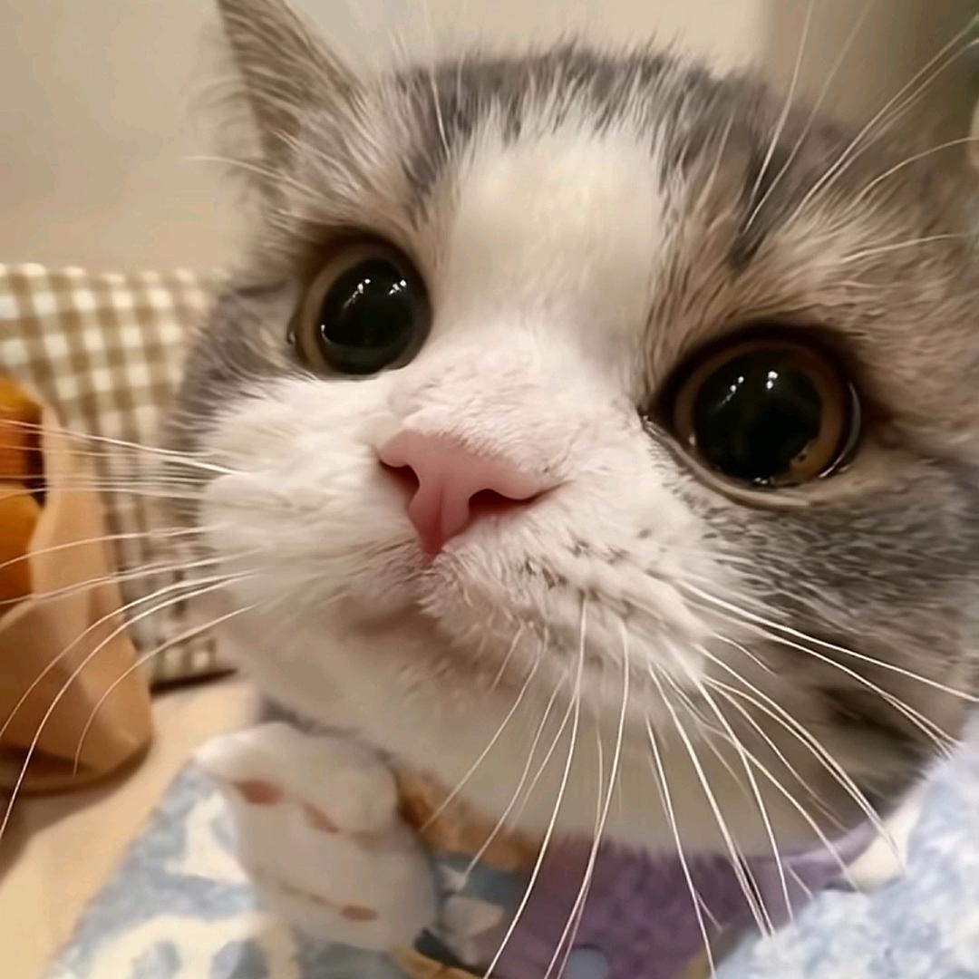 咕噜咕噜咕噜咕噜