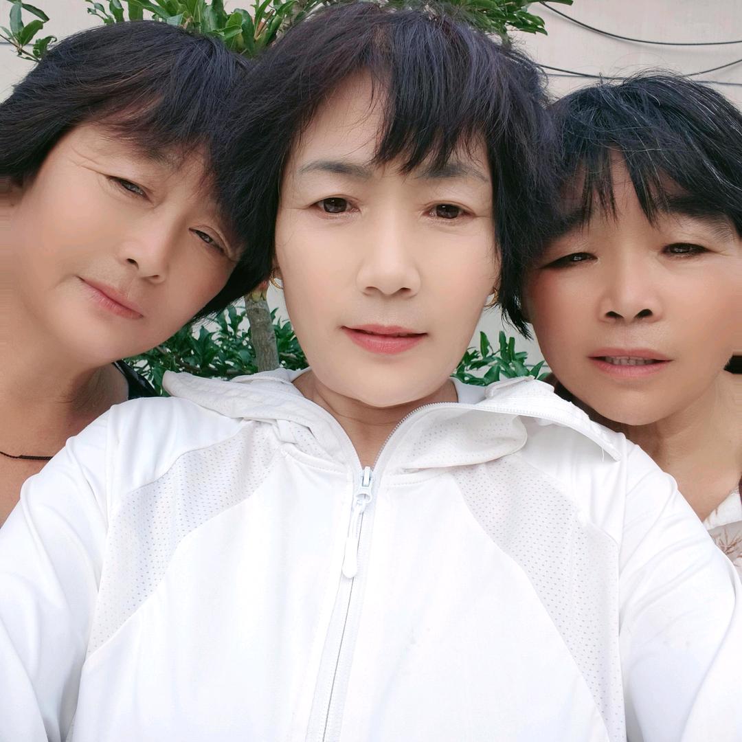 乡村燕子