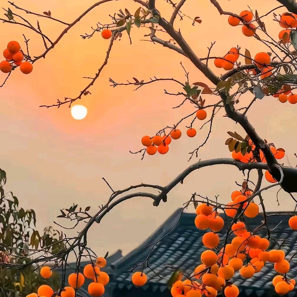 小🍀幸🍀运⭐️