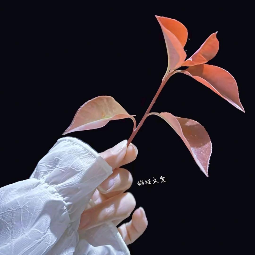 㜂孞