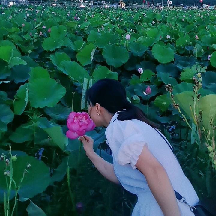 💞࿐容韵林风ღ᭄