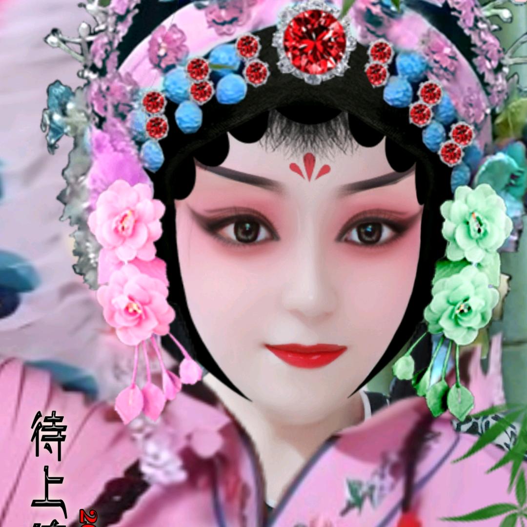 乖乖女《有赞必回》拒绝私聊