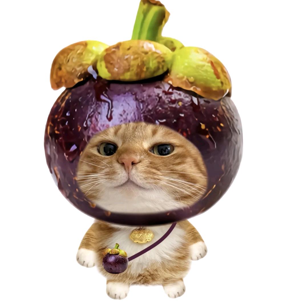 呆