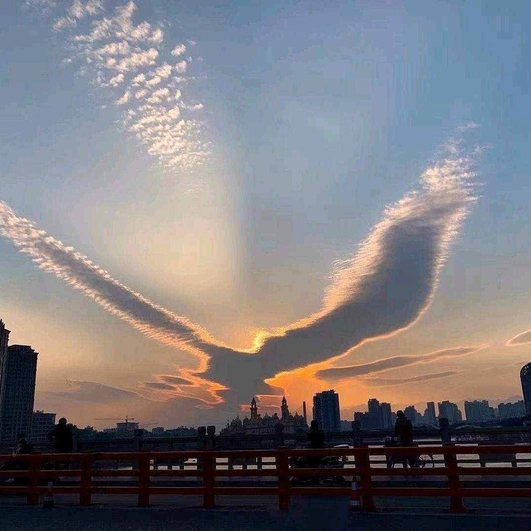 广州鑫创隆运输