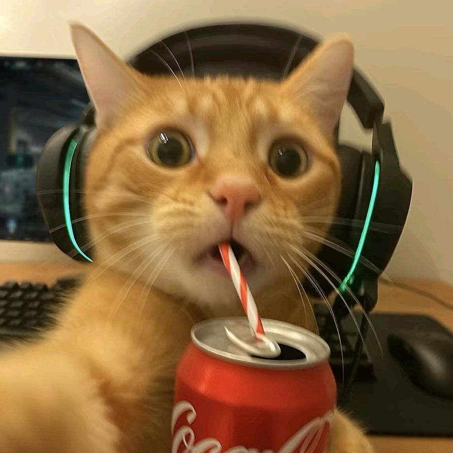 黎州州（三角洲代肝）