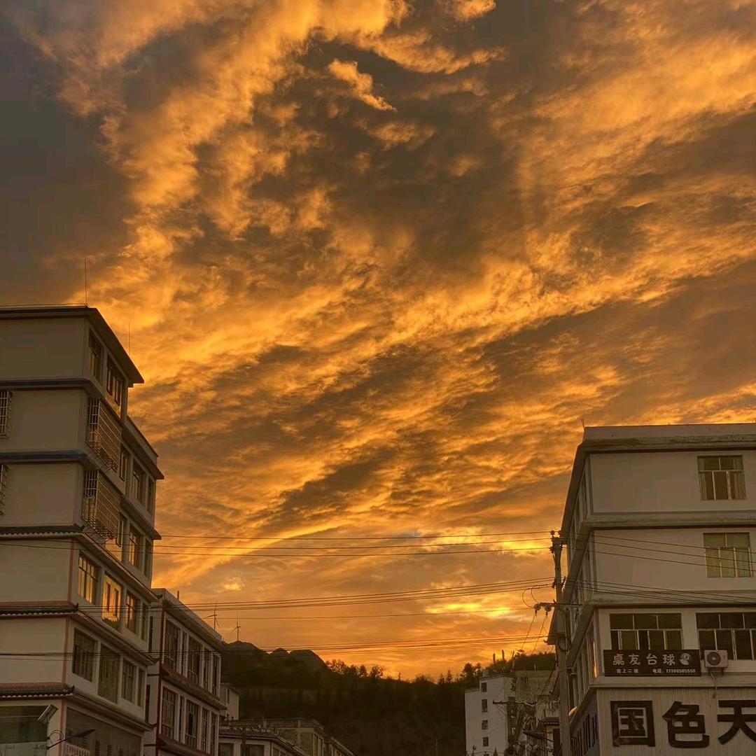 王多雨