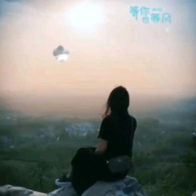 陈默的眼泪