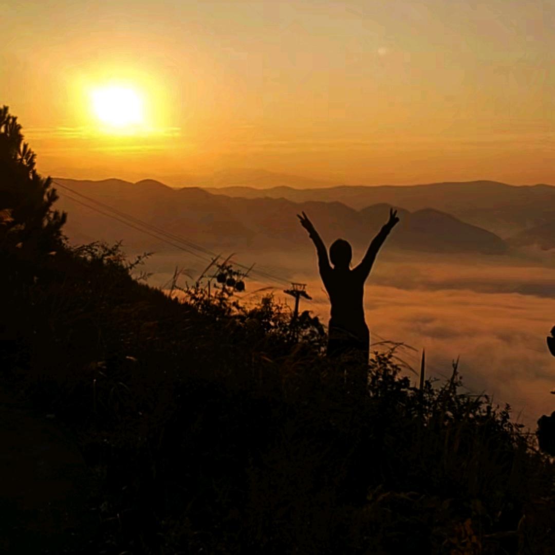 柳小样（村播小分队）