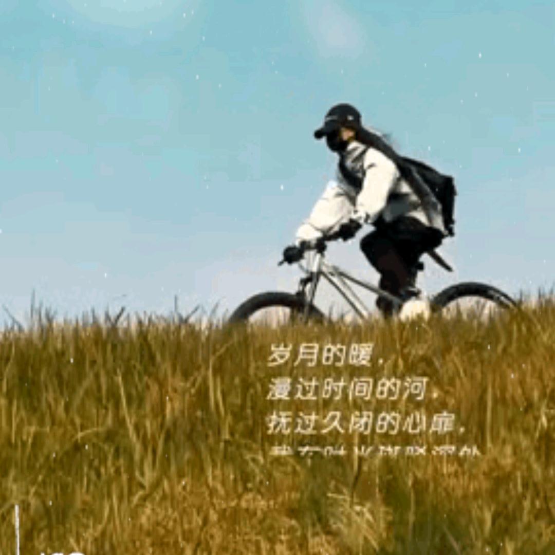 七妹