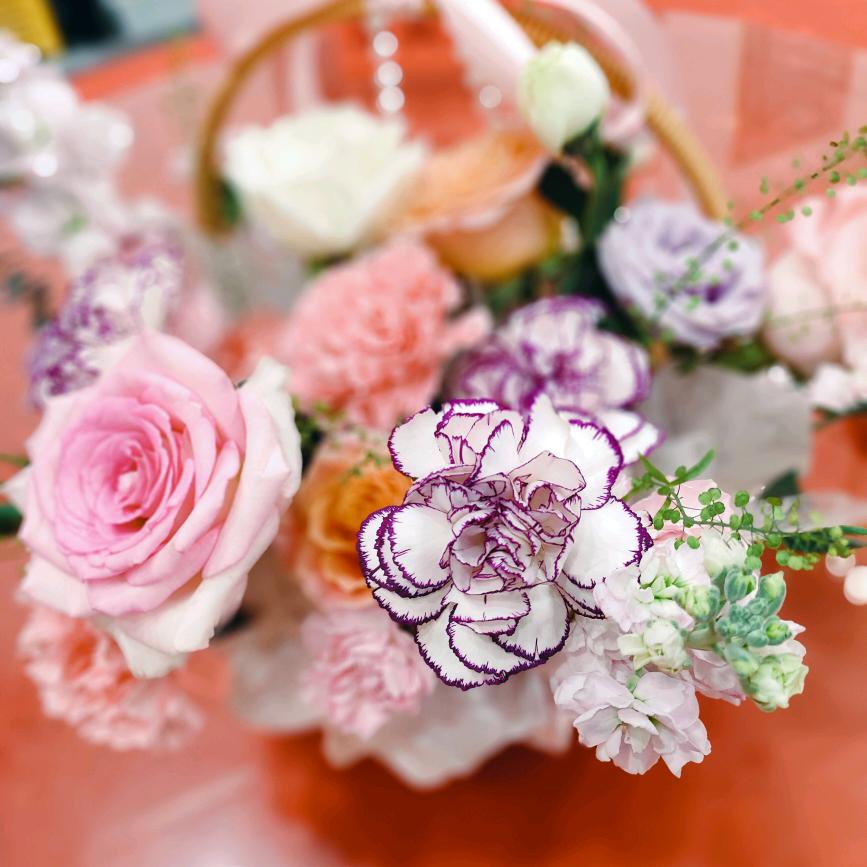 静姐(开心快乐每一天）