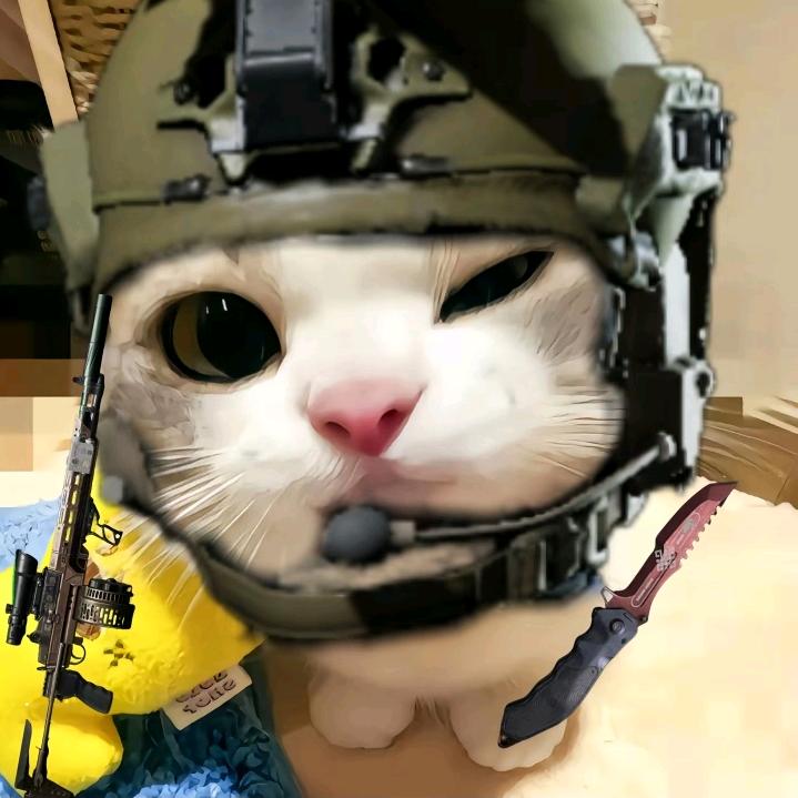 川南