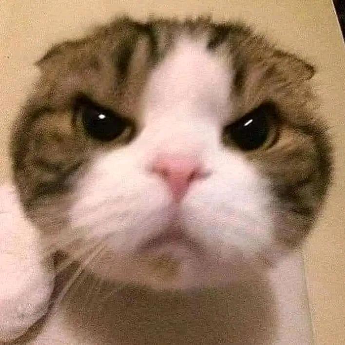 梨