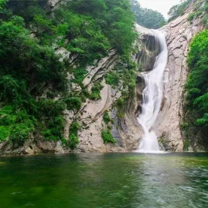 尧山团哥