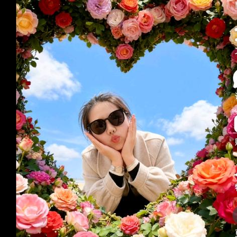 🌸花花🌸