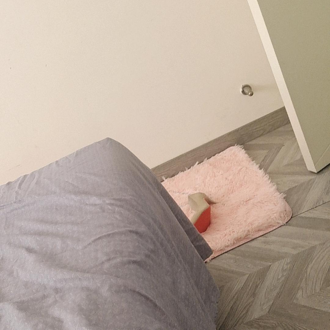 白鸽乌鸦
