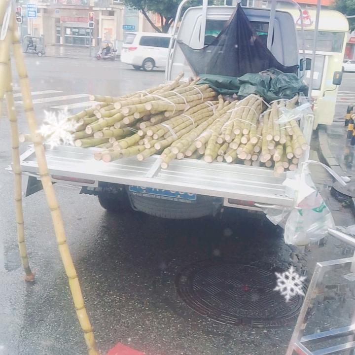 重新重生