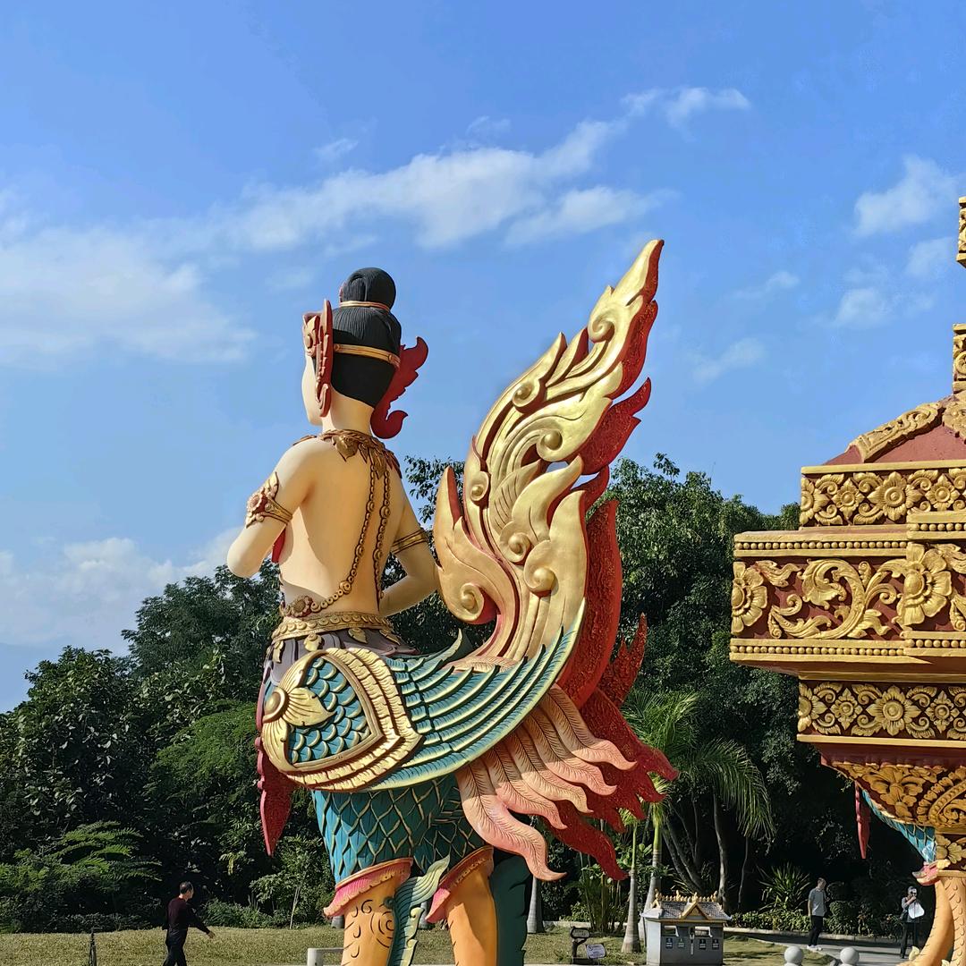 版纳玉大坑（拇指玉米）