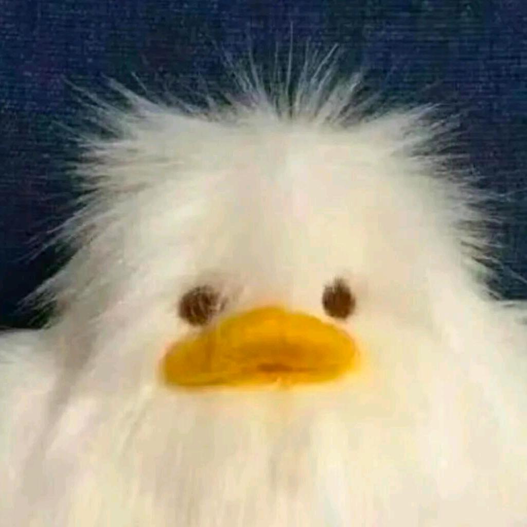 嘻嘻