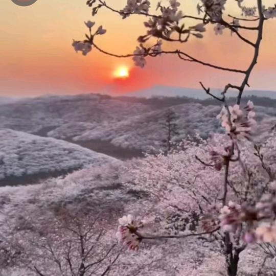 牛转乾坤