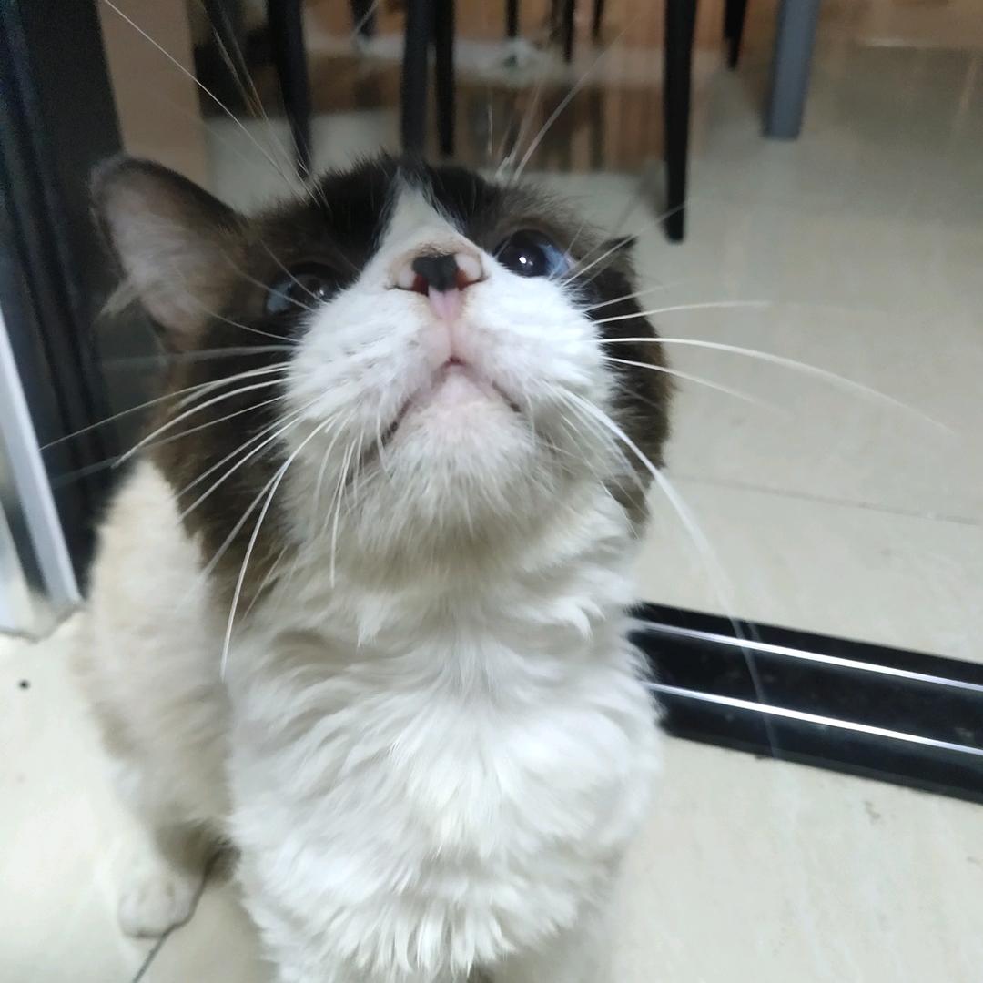 哈哈哈.