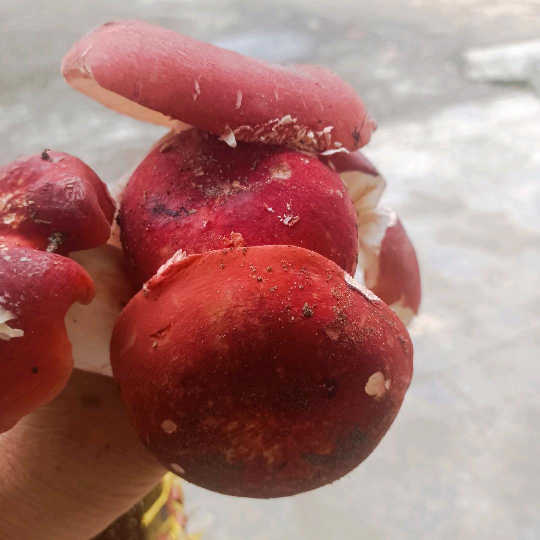 简单就美