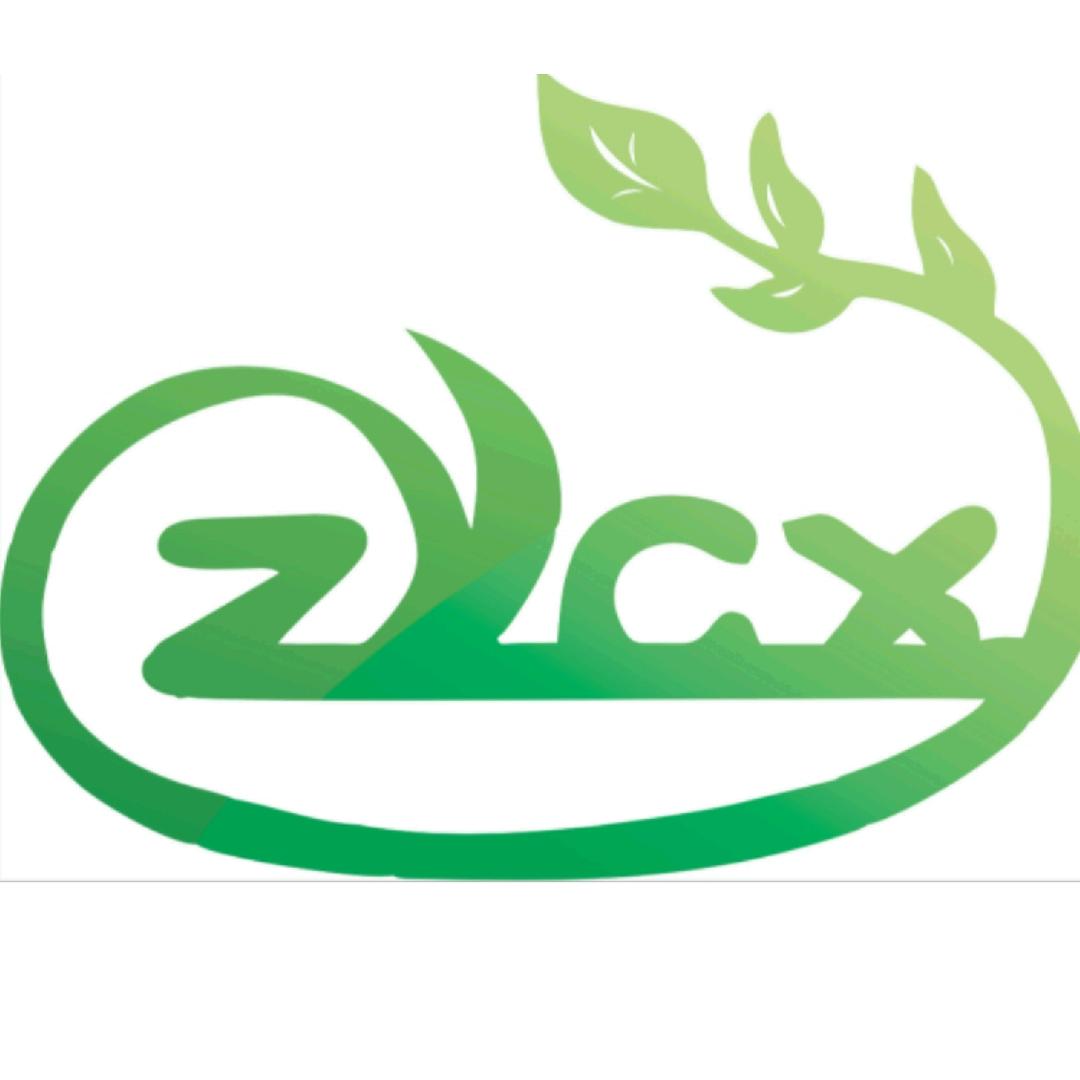 智芽创想学习中心