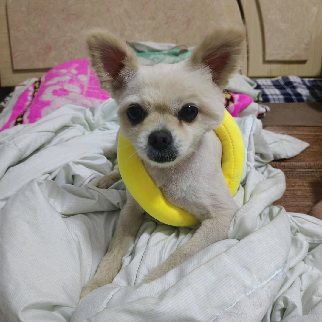 霸气😡😡😡