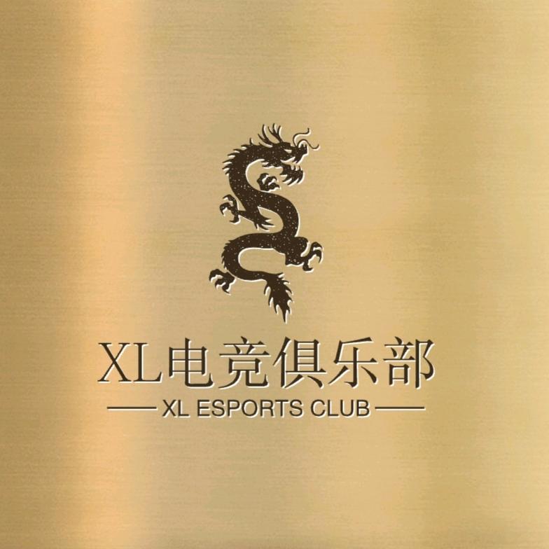 寻龙电竞（三角洲手游）