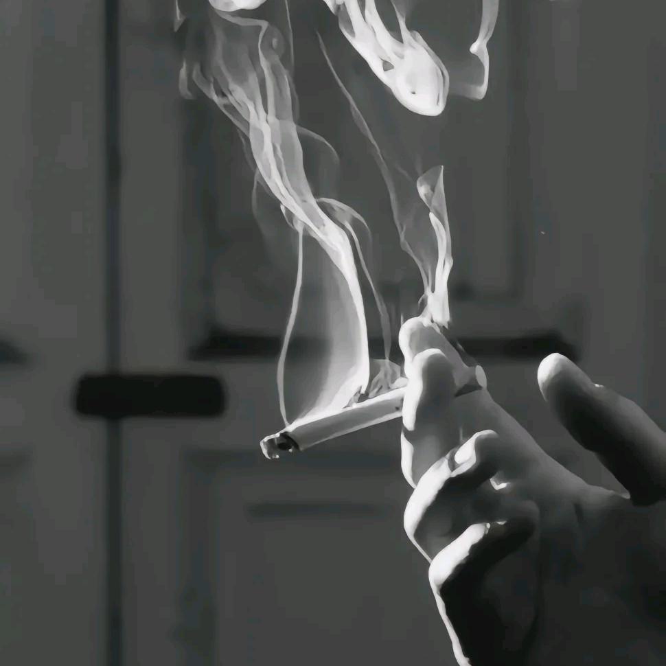 【飘渺的过客】