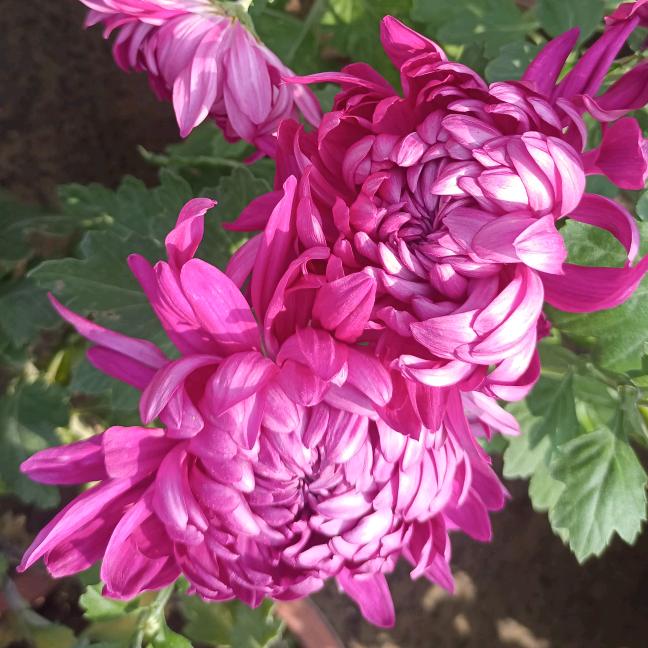 丽姐🌈拒私聊✨