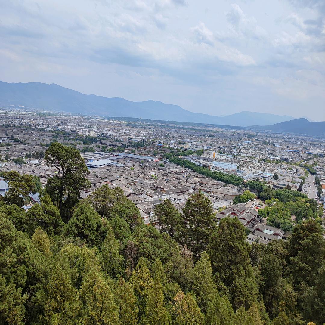 山野