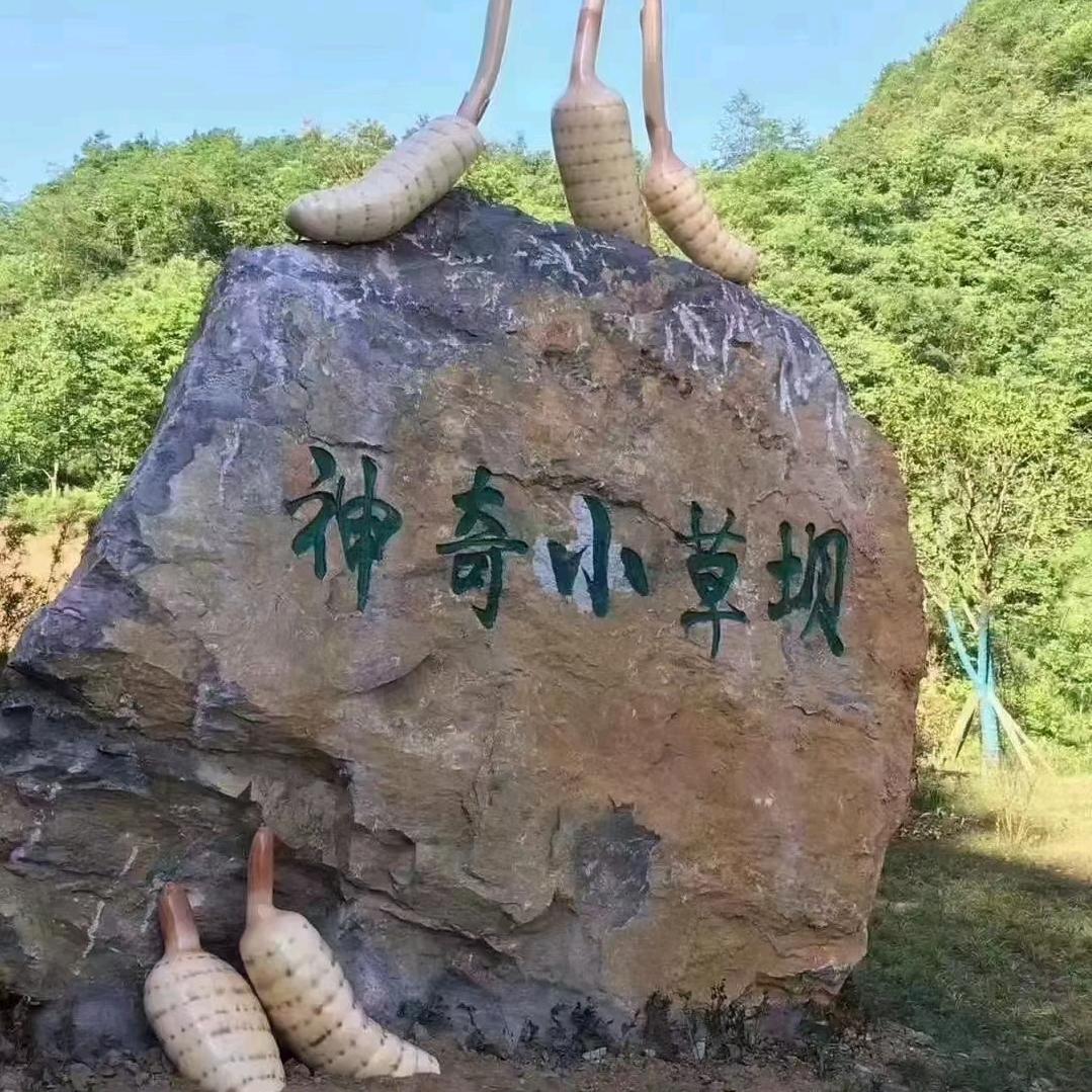 今生和你相遇